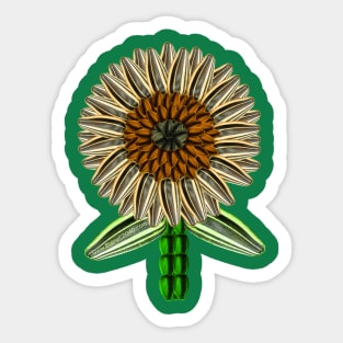 Sunflower Seeds Sunflower Sticker